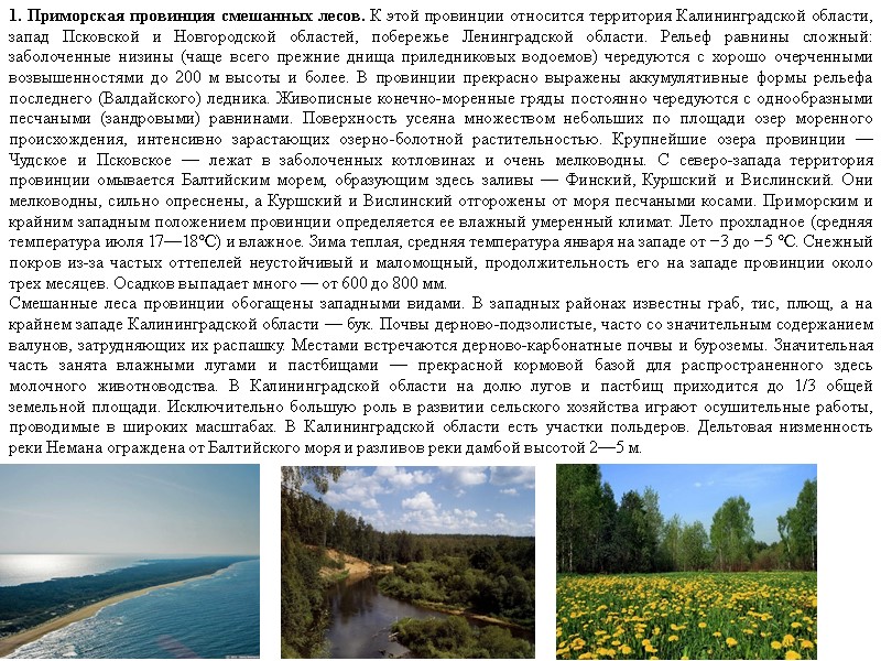 1. Приморская провинция смешанных лесов. К этой провинции относится территория Калининградской области, запад Псковской
